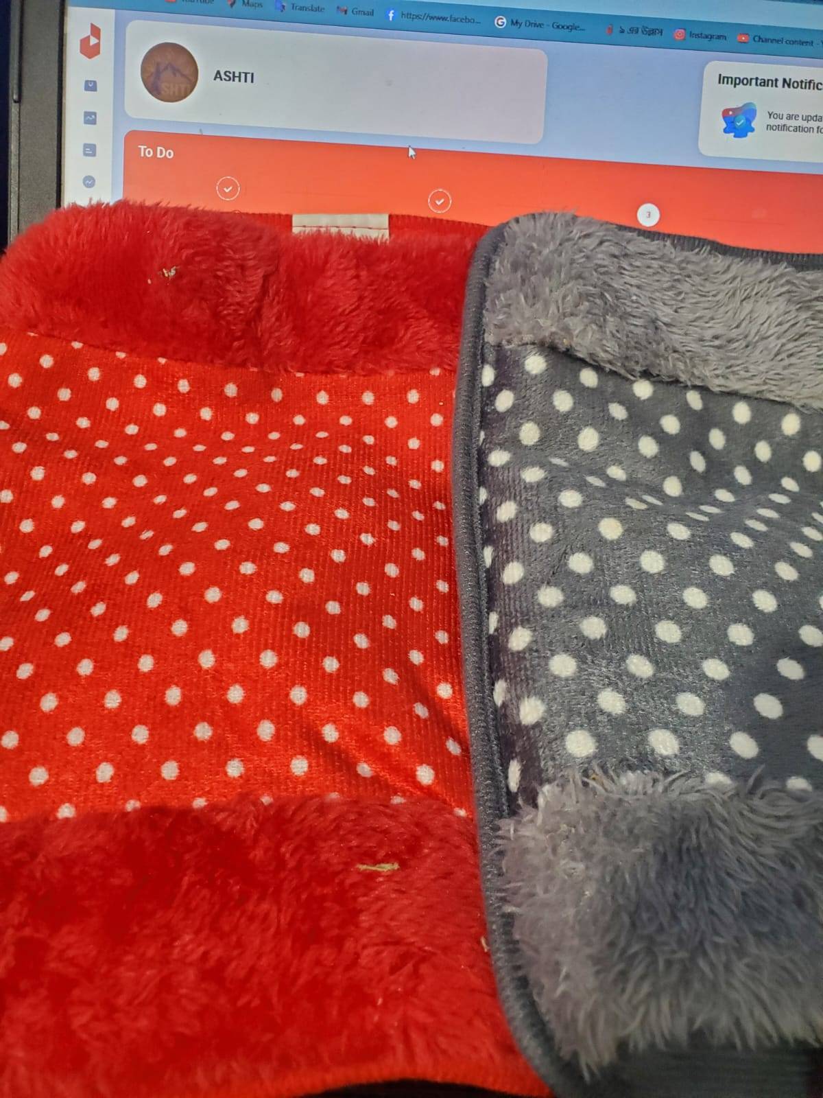 Hot water bag (Electric) Hot water bag (Electric)